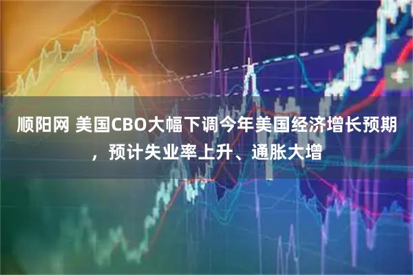 顺阳网 美国CBO大幅下调今年美国经济增长预期，预计失业率上升、通胀大增