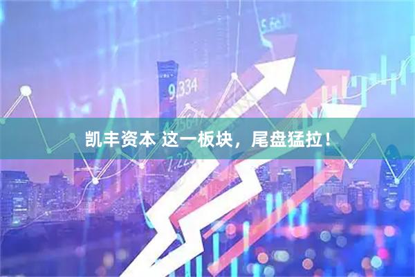 凯丰资本 这一板块，尾盘猛拉！