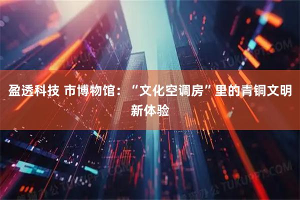 盈透科技 市博物馆：“文化空调房”里的青铜文明新体验