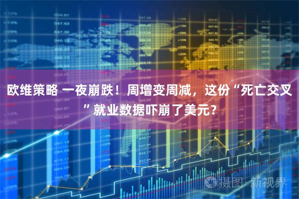 欧维策略 一夜崩跌！周增变周减，这份“死亡交叉”就业数据吓崩了美元？