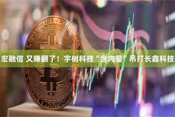 宏融信 又赚翻了！宇树科技“含肉量”吊打长鑫科技